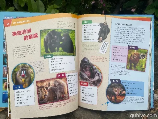 《神射手秘籍:灌木林动物图鉴大揭秘》 《神射手秘籍:灌木林动物图鉴大揭秘》